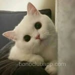 Avatar de Gustavo Salazar